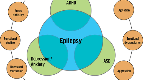 Waldron article Figure 1 from the November 2025 issue of Practical Neurology