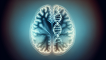 Decoding Lissencephaly How Radiology and Genetics Shape Diagnosis and Care