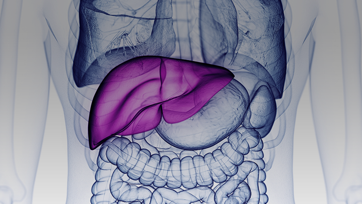ReachMD Healthcare Image