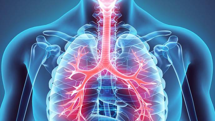 ReachMD Healthcare Image