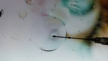 ReachMD Healthcare Image