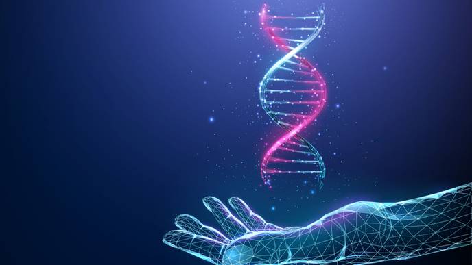 ReachMD Healthcare Image