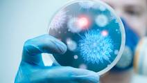 ReachMD Healthcare Image