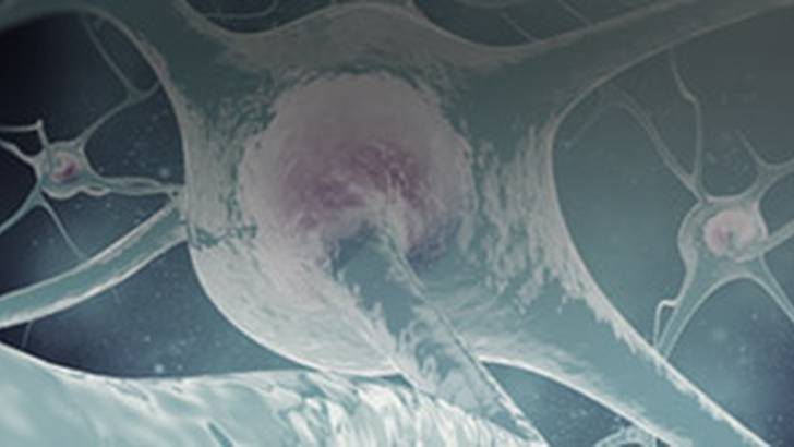 ReachMD Healthcare Image