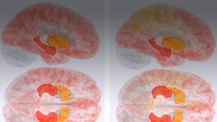 ReachMD Healthcare Image