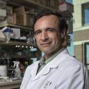 Jeffrey D. Cirillo, PhD