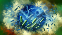 antimicrobial resistance in vibrio cholerae 2023 kpk outbreak
