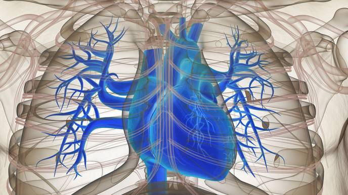 ReachMD Healthcare Image