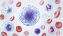 exa cel in children with transfusion dependent beta thalassemia or sickle cell disease