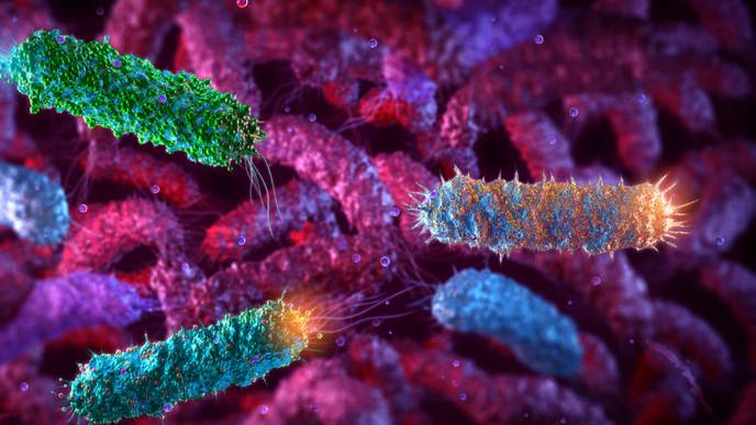 ReachMD Healthcare Image