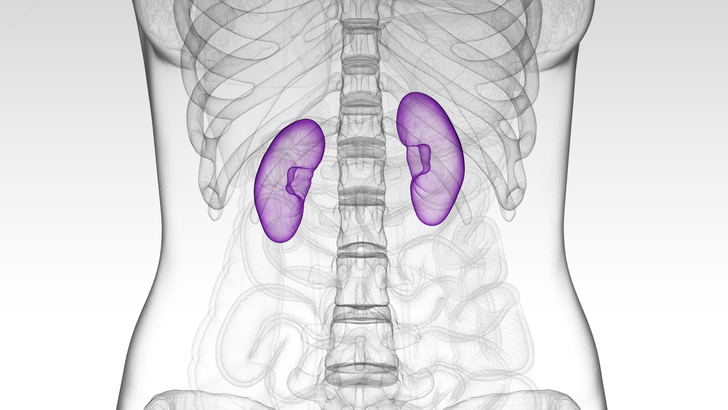 ReachMD Healthcare Image