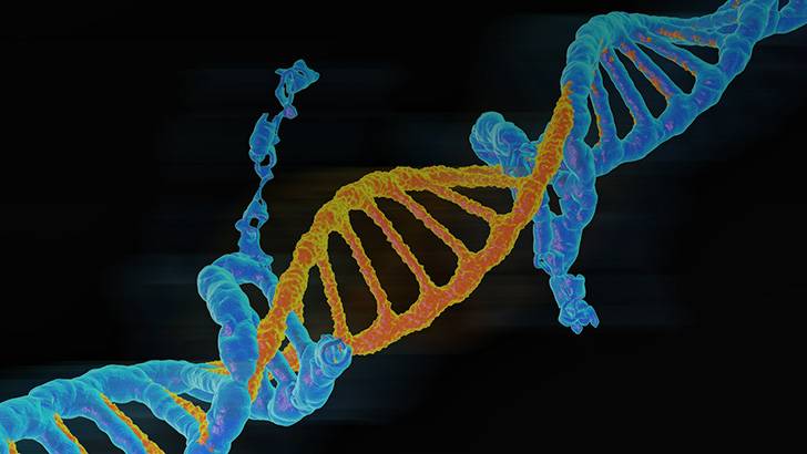 ReachMD Healthcare Image