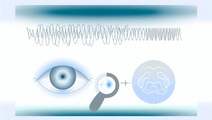New Insights into Spectral Edge Frequency and Pupillary Velocity in Critically Ill Patients