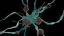 ReachMD Healthcare Image