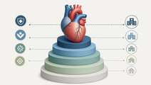 Commercial Cardiology Prices Varied Widely Across US Insurers