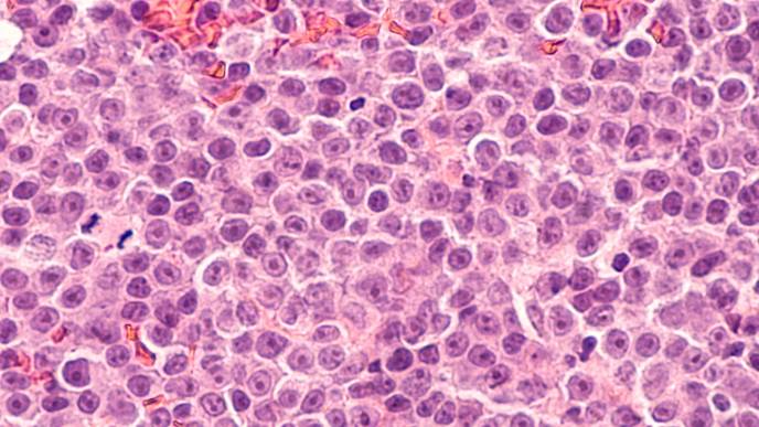 ReachMD Healthcare Image