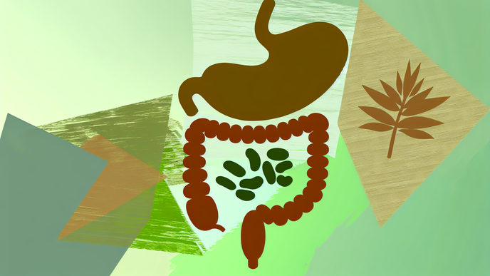 The Role of Fiber in Controlling Harmful Gut Microbes