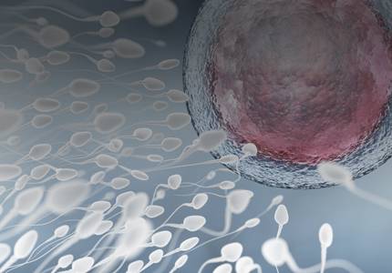 ReachMD Healthcare Image