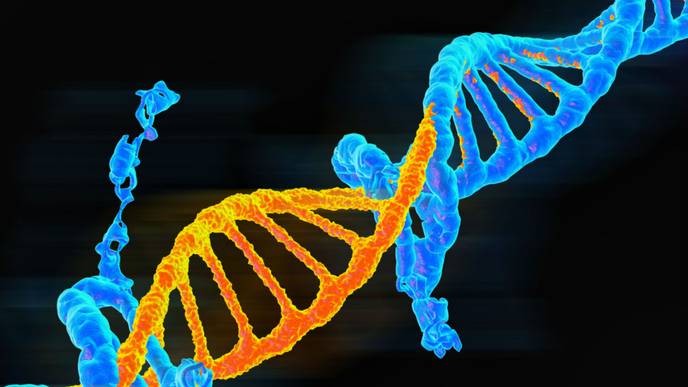 ReachMD Healthcare Image