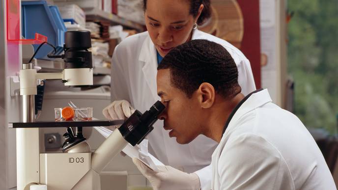 ReachMD Healthcare Image