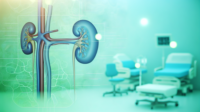 Emerging Biomarkers for Enhanced Kidney Health Monitoring