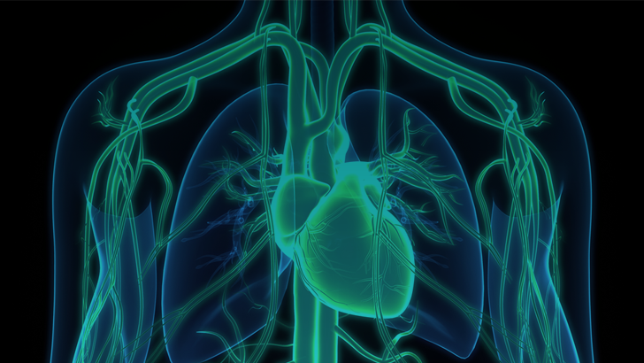 ReachMD Healthcare Image