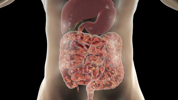 ReachMD Healthcare Image