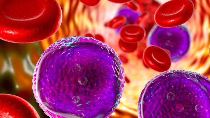 ReachMD Healthcare Image