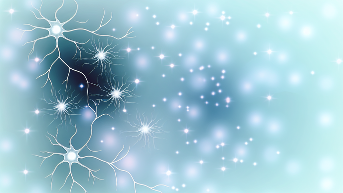 Hippocampal Neurons and Their Role in Dietary Behaviors and Obesity