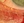 2205-supp-Art1Fig1