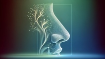 Sniffing Out Early Signs Olfactory Testing for Cognitive Impairment Detection