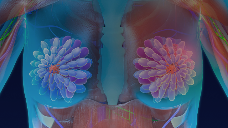 ReachMD Healthcare Image