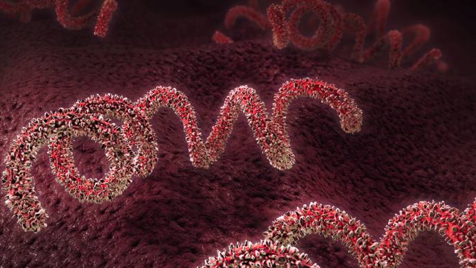 ReachMD Healthcare Image