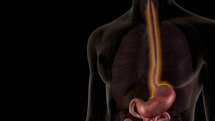 ReachMD Healthcare Image