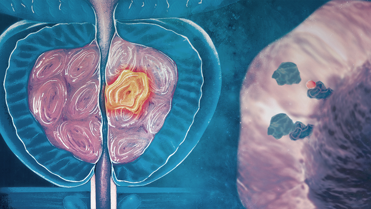 ReachMD Healthcare Image