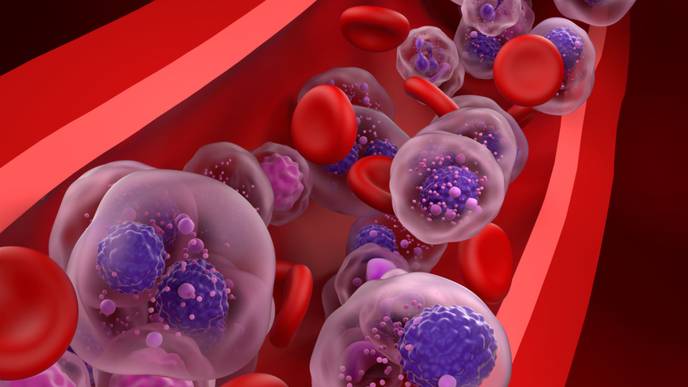 ReachMD Healthcare Image