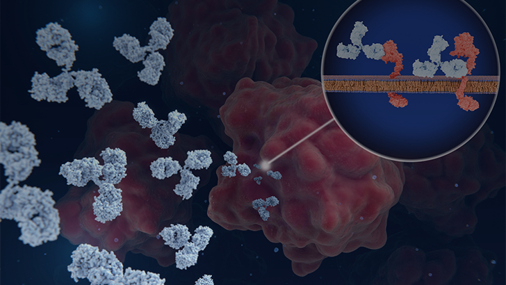 ReachMD Healthcare Image
