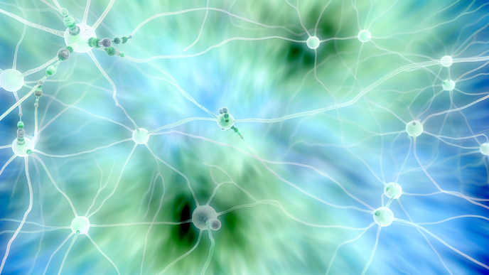 Exploring a New Therapeutic Avenue