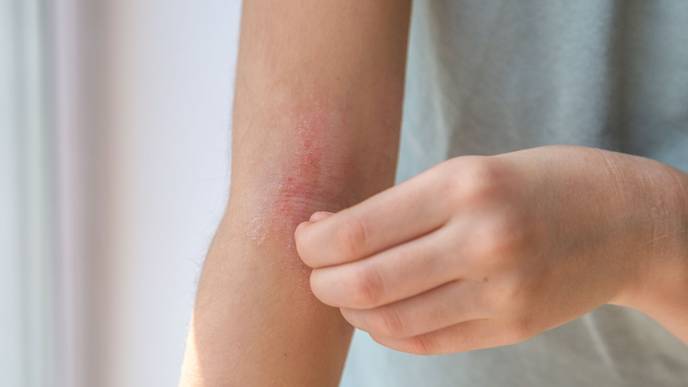 ReachMD Healthcare Image