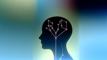 The Influence of Counterfactual Thinking on COVID19 Death Toll Predictions
