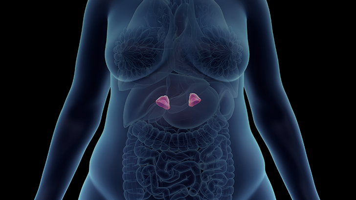 ReachMD Healthcare Image