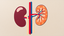 ReachMD Healthcare Image