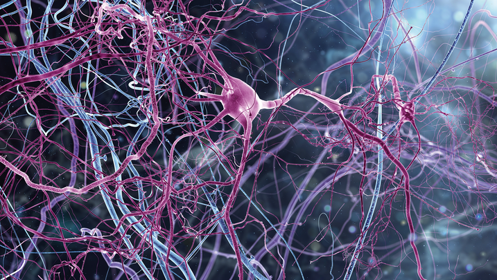 ReachMD Healthcare Image