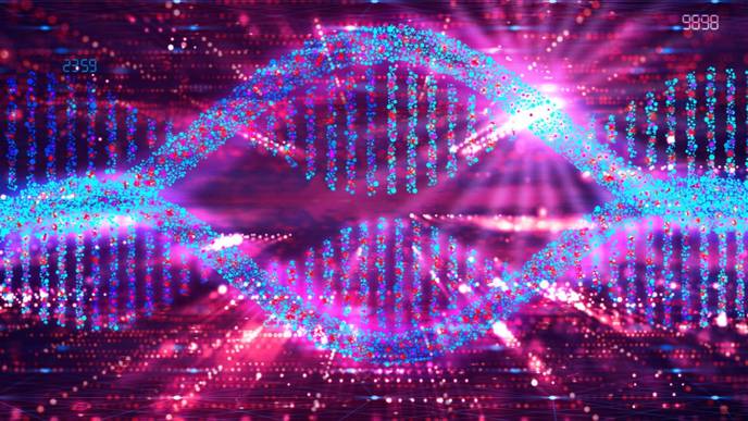 ReachMD Healthcare Image