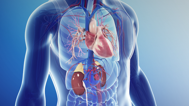 ReachMD Healthcare Image