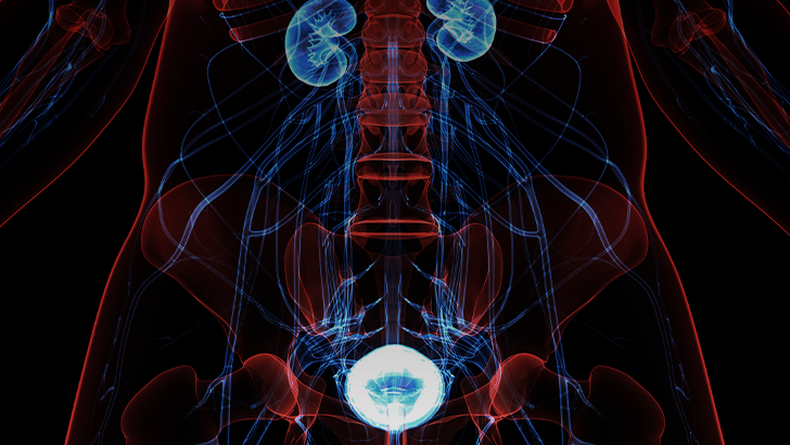 ReachMD Healthcare Image