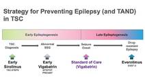 Epilepsy Essentials The Current and Future Landscape of Tuberous Sclerosis Complex Diagnosis and Treatment