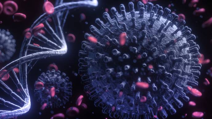 ReachMD Healthcare Image