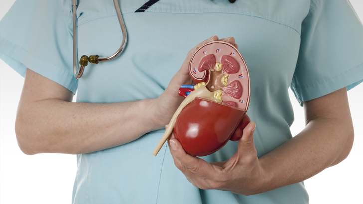ReachMD Healthcare Image
