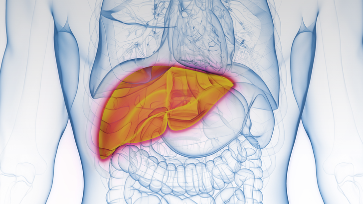 ReachMD Healthcare Image